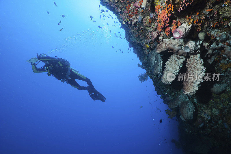 放松的潜水员靠近著名的乐宽二号墙。, Bunaken